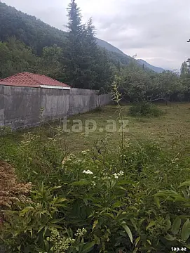 Satılır torpaq sahəsi — Qax