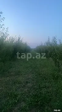 Satılır torpaq sahəsi — Quba
