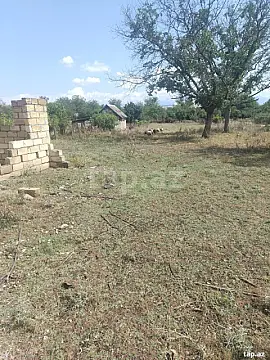 Satılır torpaq sahəsi — Qəbələ