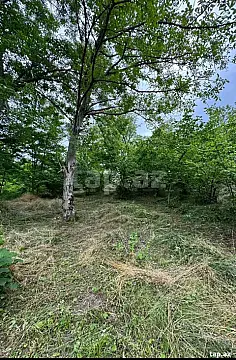 Satılır 3 otaqlı həyət evi 10 m² — Qusar 3 otaq 10.00 m²