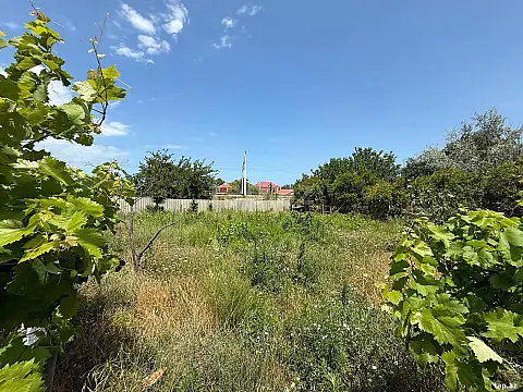 Satılır torpaq sahəsi — Bakı, Novxanı