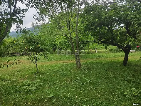 Satılır torpaq sahəsi — Qəbələ
