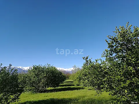 Satılır torpaq sahəsi — Qəbələ