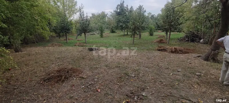 Satılır torpaq sahəsi — Yevlax