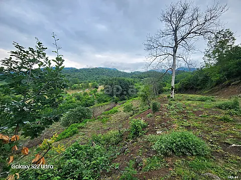 Satılır torpaq sahəsi — İsmayıllı