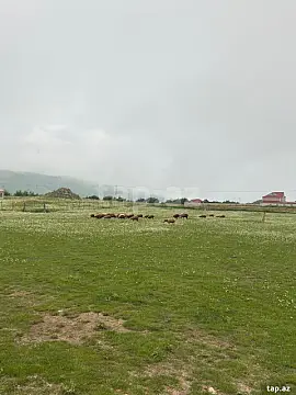 Satılır torpaq sahəsi — Qusar