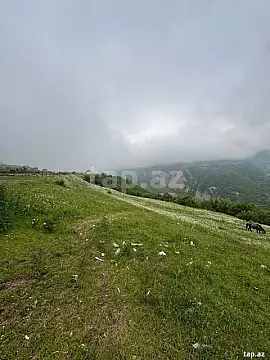 Satılır torpaq sahəsi — Qusar