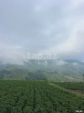 Satılır torpaq sahəsi — Qusar