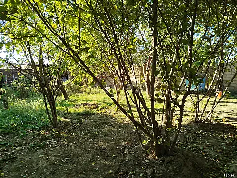 Satılır torpaq sahəsi — Şəki