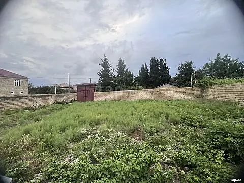 Satılır torpaq sahəsi — Masallı