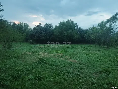 Satılır torpaq sahəsi — Qəbələ
