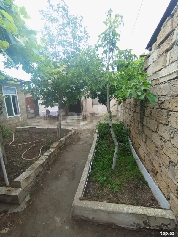 Satılır 2 otaqlı həyət evi 50 m²