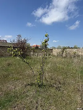 Satılır torpaq sahəsi — Sumqayıt, Novxanı