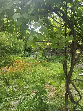 Satılır torpaq sahəsi — Bakı
