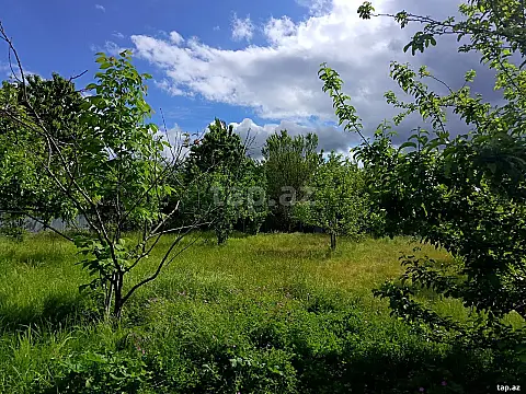 Satılır torpaq sahəsi — Qəbələ