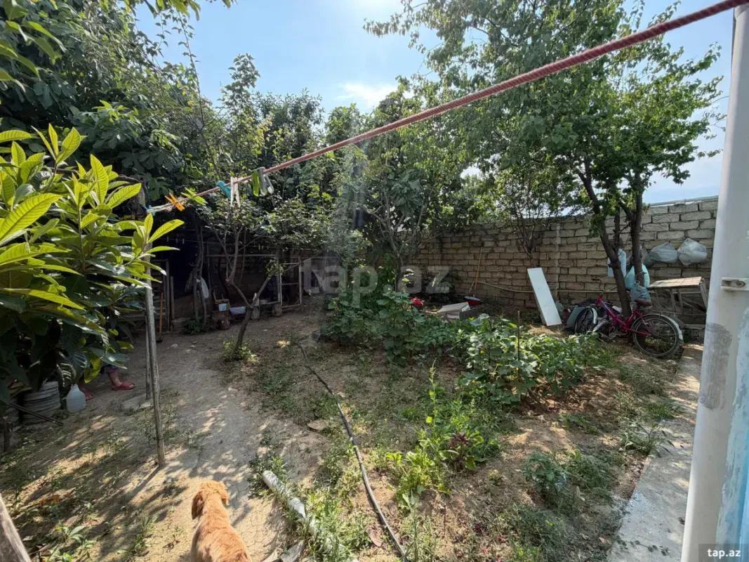Satılır 3 otaqlı həyət evi 100 m²