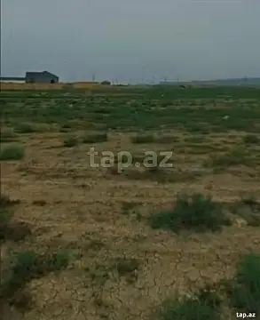 Satılır torpaq sahəsi — Şirvan