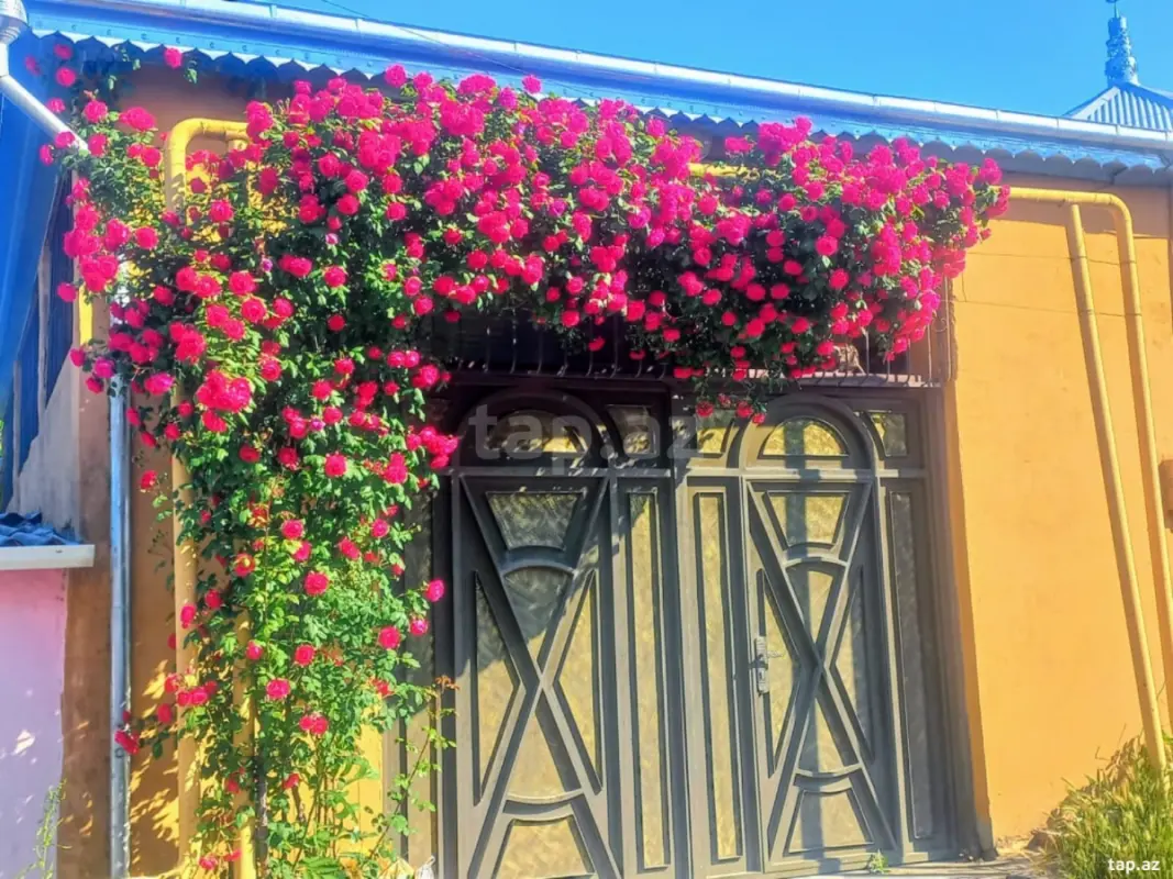 Satılır 3 otaqlı həyət evi