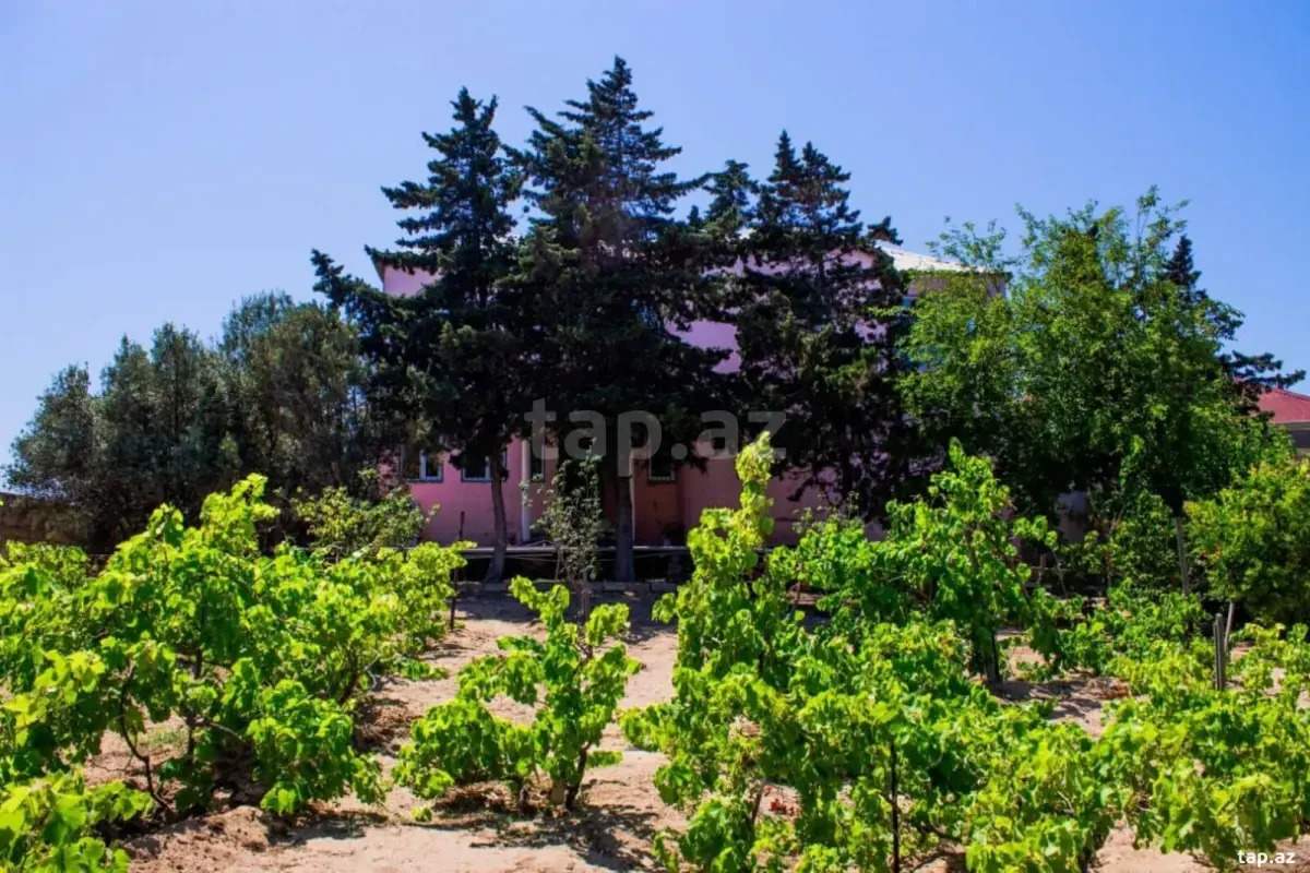 Kirayə verilir 6 otaqlı həyət evi 200 m²