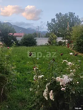 Satılır torpaq sahəsi — Qəbələ