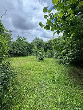 Satılır torpaq sahəsi — Qusar