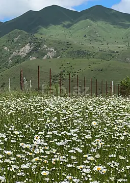Satılır torpaq sahəsi — Qusar