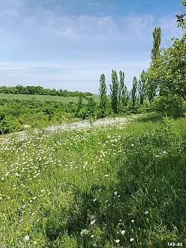 Satılır torpaq sahəsi — Qusar
