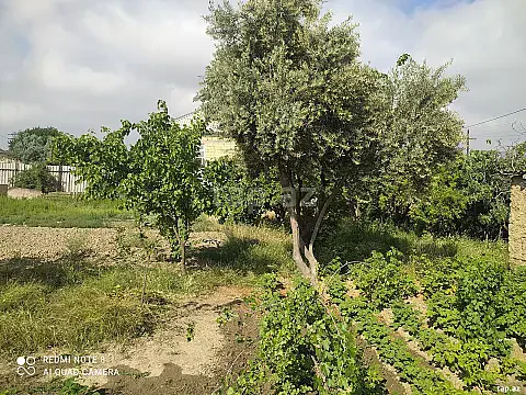 Satılır torpaq sahəsi — Şirvan