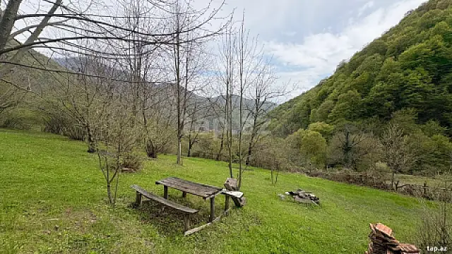 Satılır torpaq sahəsi — Qax