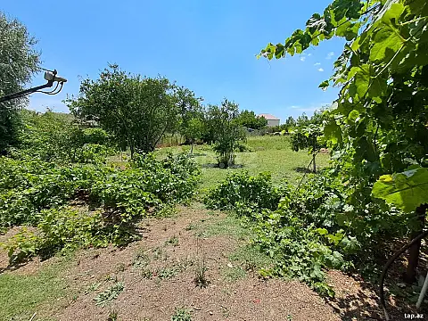 Satılır torpaq sahəsi — Bakı, Bilgəh