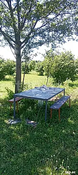 Satılır torpaq sahəsi — Şəki