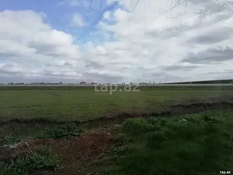 Satılır torpaq sahəsi — Masallı