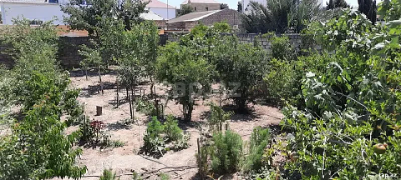 Satılır torpaq sahəsi — Bakı, Mərdəkan