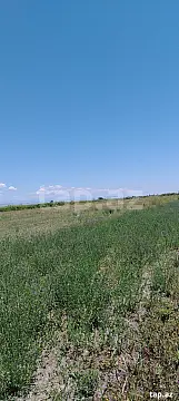Satılır torpaq sahəsi — Ağdaş