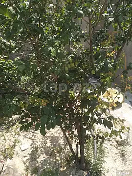 Satılır 4 otaqlı həyət evi 80.1 m² — Bakı, Hövsan 4 otaq 80.10 m²
