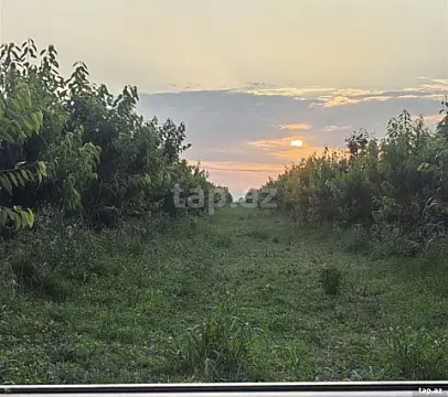 Satılır torpaq sahəsi — Xaçmaz
