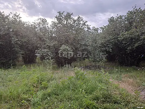 Satılır torpaq sahəsi — Qəbələ