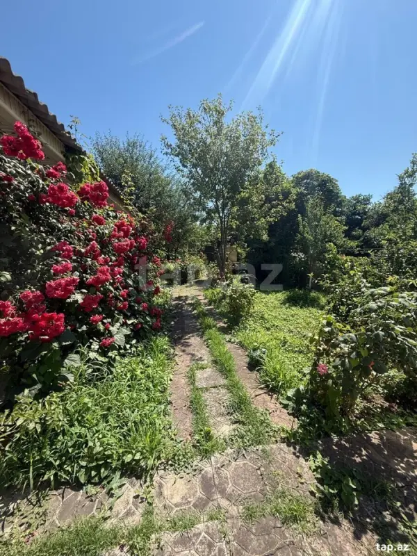 Kirayə verilir 3 otaqlı həyət evi 100 m²