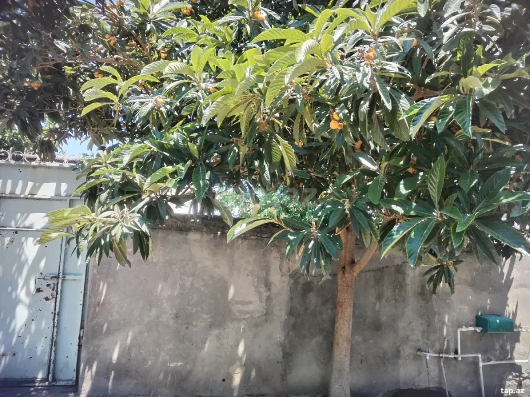 Satılır 6 otaqlı həyət evi 600 m²
