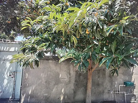 Satılır 6 otaqlı həyət evi 600 m² — Mingəçevir 6 otaq 600.00 m²