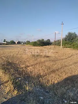 Satılır torpaq sahəsi — Xaçmaz