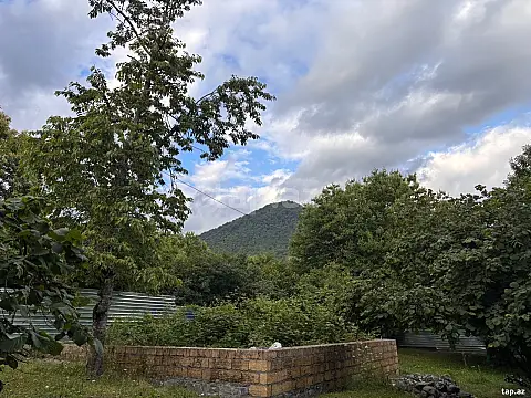 Satılır torpaq sahəsi — Qəbələ