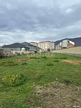 Satılır torpaq sahəsi — Zaqatala