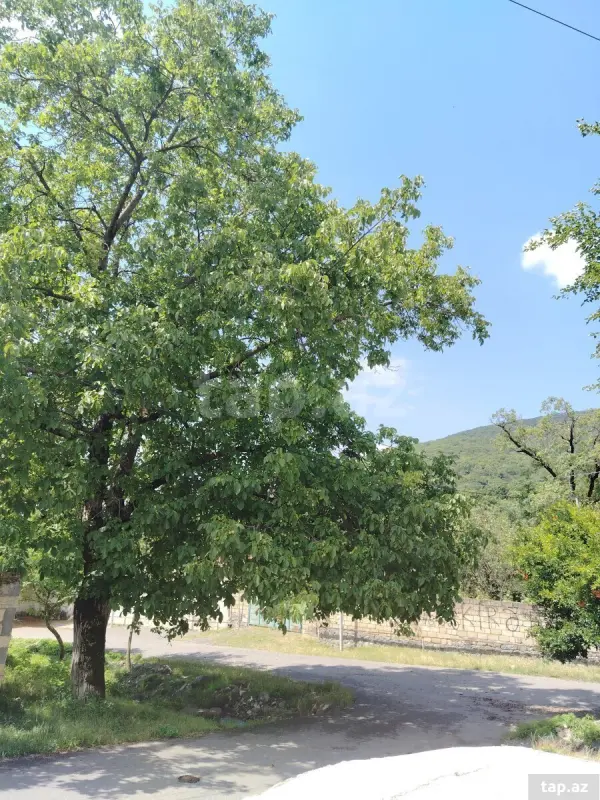 Kirayə verilir 3 otaqlı həyət evi 50 m²