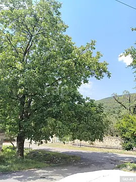 Kirayə verilir 3 otaqlı həyət evi 50 m² — Oğuz 3 otaq 50.00 m²