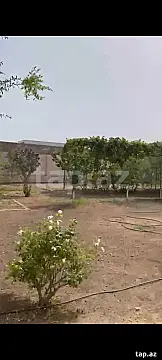 Satılır torpaq sahəsi — Bakı, Buzovna