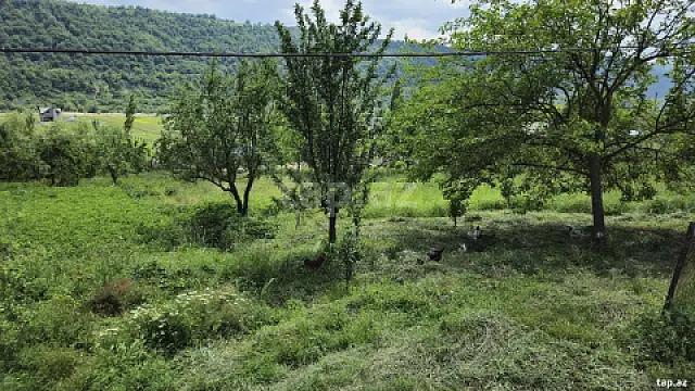 Satılır torpaq sahəsi — Qusar