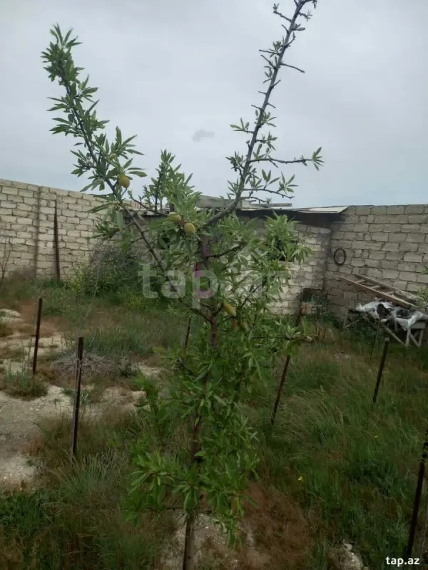 Satılır 2 otaqlı həyət evi 70 m²