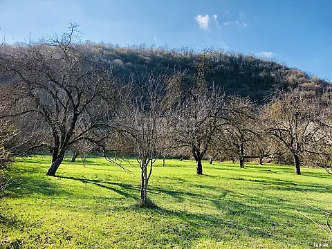 Satılır torpaq sahəsi — Qəbələ