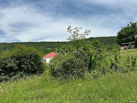 Satılır torpaq sahəsi — Şamaxı